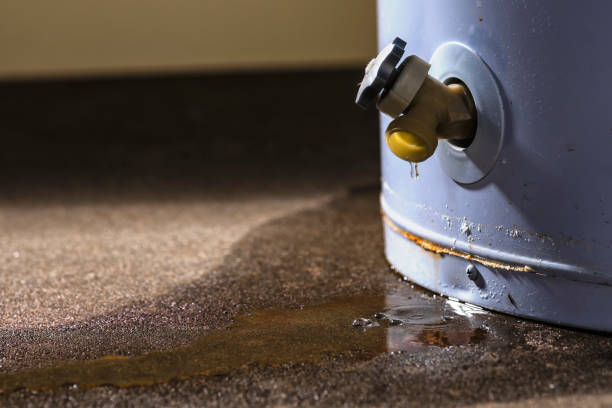 Best Water damage restoration near me  in Leesburg, OH