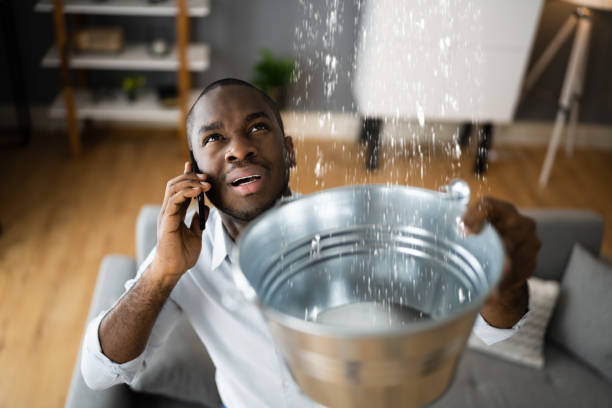 Best Carpet water damage restoration  in Leesburg, OH