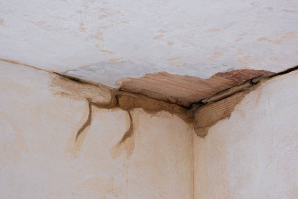 Best Carpet water damage restoration  in Leesburg, OH