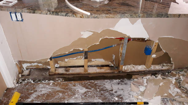 Best 24-hour water damage restoration  in Leesburg, OH