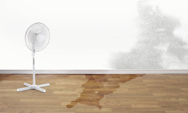  Leesburg, OH Water damage restoration Pros