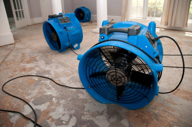 Best Commercial water damage restoration  in Leesburg, OH