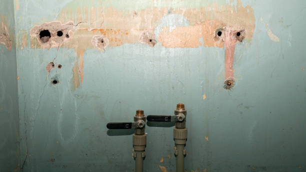 Best Emergency water damage restoration  in Leesburg, OH